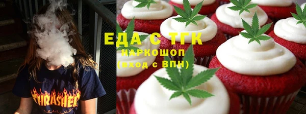 индика Алексин