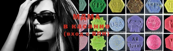 индика Алексин