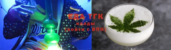 индика Алексин