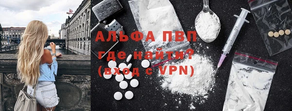 индика Алексин