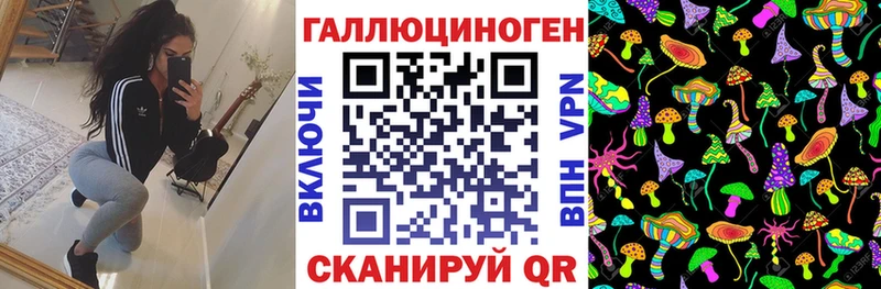 где продают наркотики  Поронайск  Галлюциногенные грибы GOLDEN TEACHER 